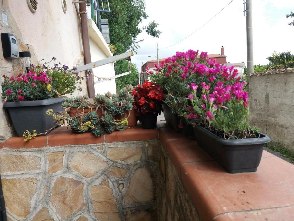 La Mia Casetta ซาแลร์โน ภายนอก รูปภาพ